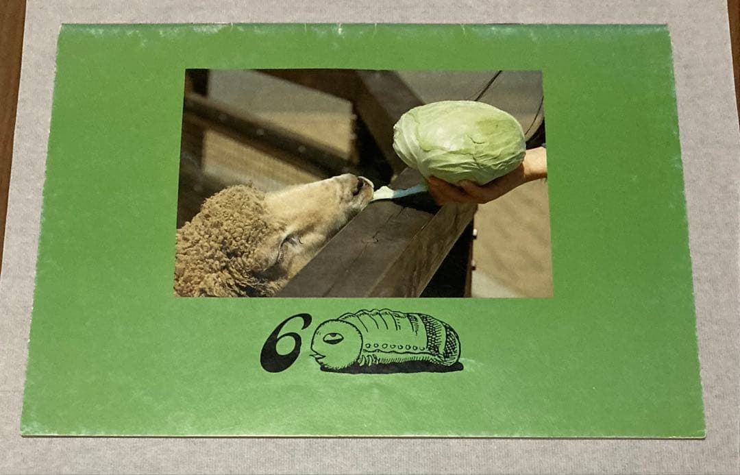 たま　ツアーパンフレット　FC会報