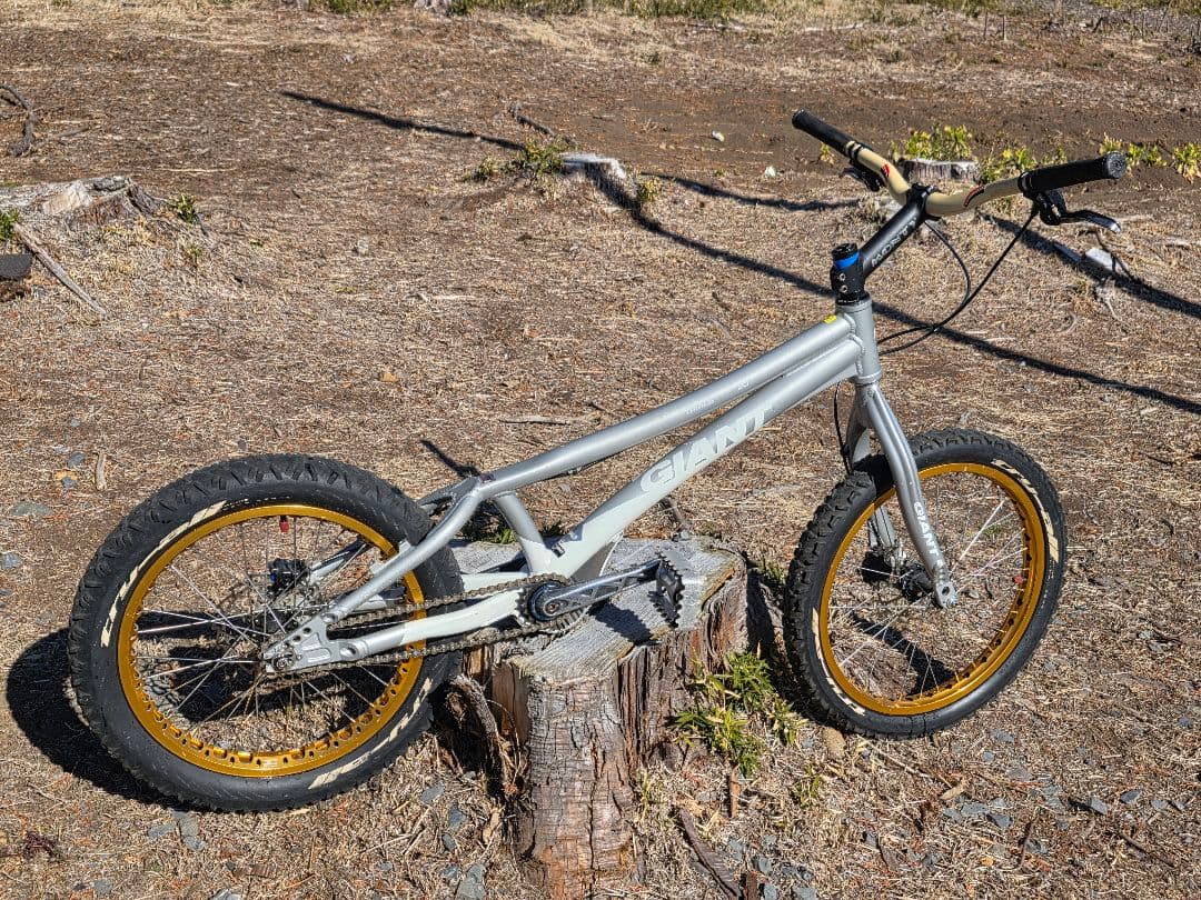 激レア❗ジャイアント　トライアル　GIANT TRIALS COMP