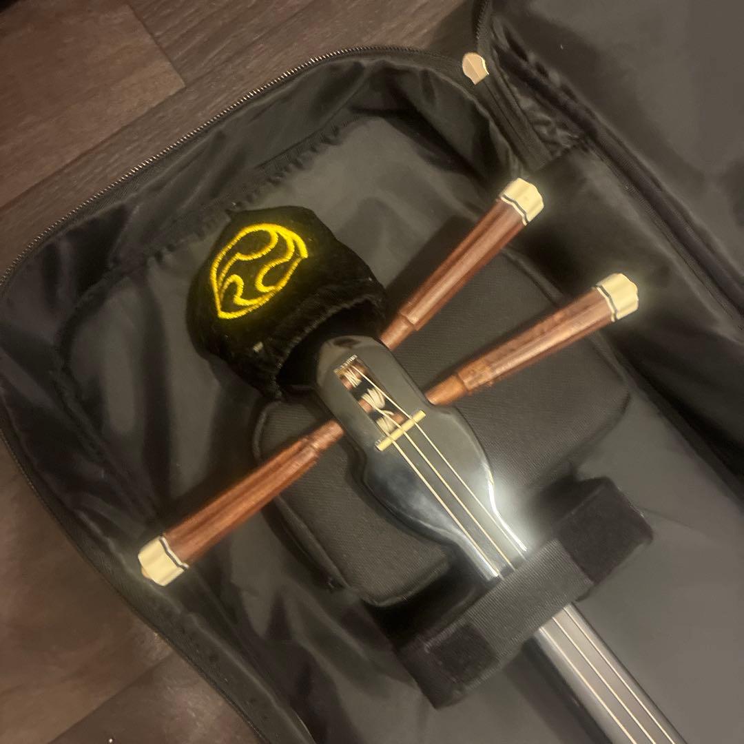 連休中に処分予定【入門機】三線