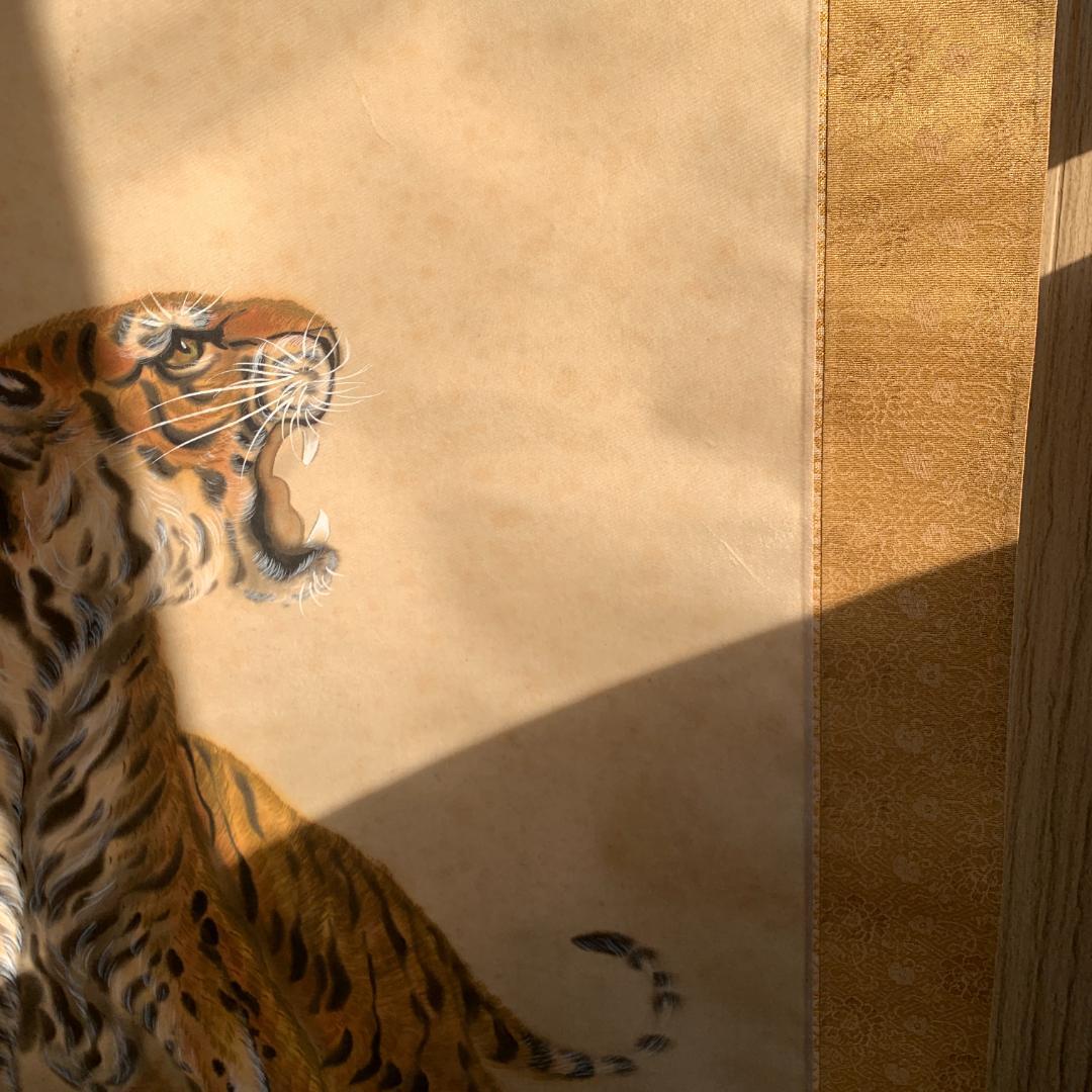 掛け軸　虎図絹本 共箱 福山一成 田村耕一に師事『猛虎図』