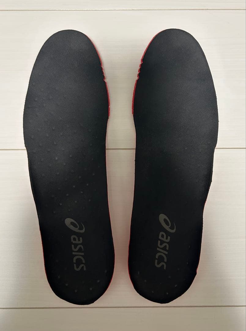 【ネギの助】asics dslight x-fly pro 26cm