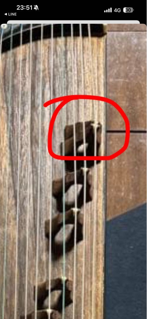 古箏 古筝 21弦（ショート）