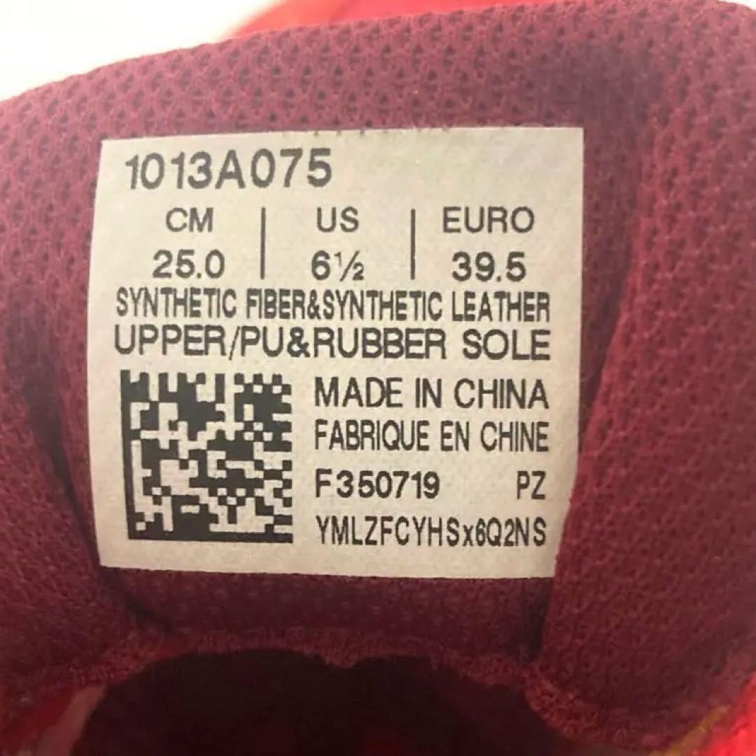 ソーティマジック【25.0】