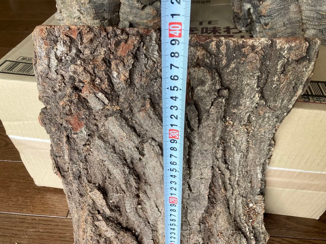 天然コルク樹皮2個とコナラ樹皮1個