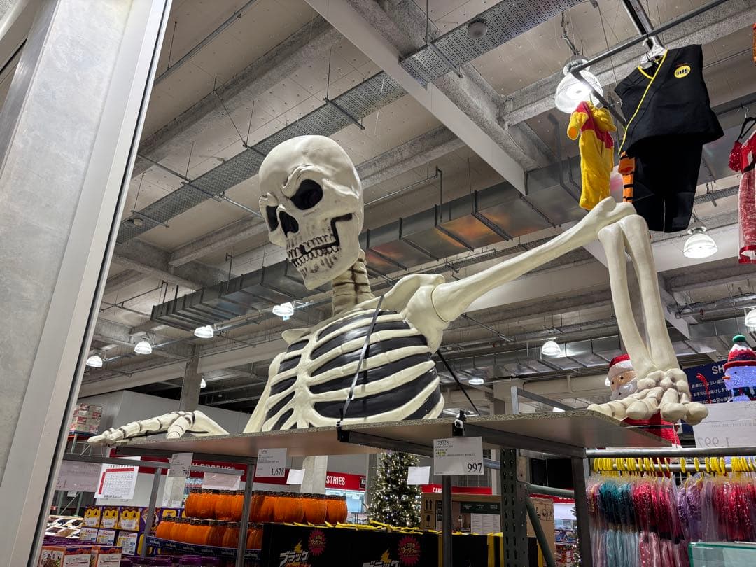 スケルトンモデル コストコ　ハロウィン