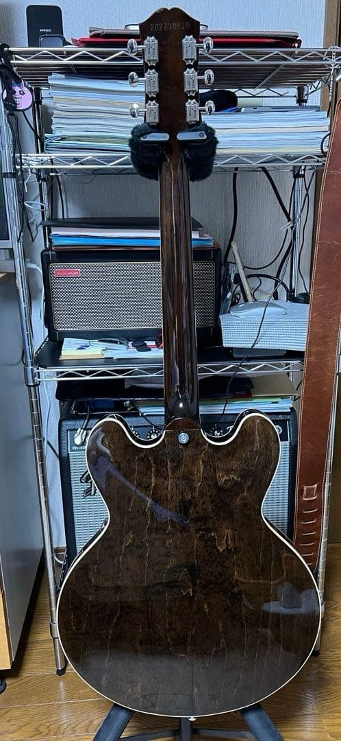 ギター Epiphone USA Casino