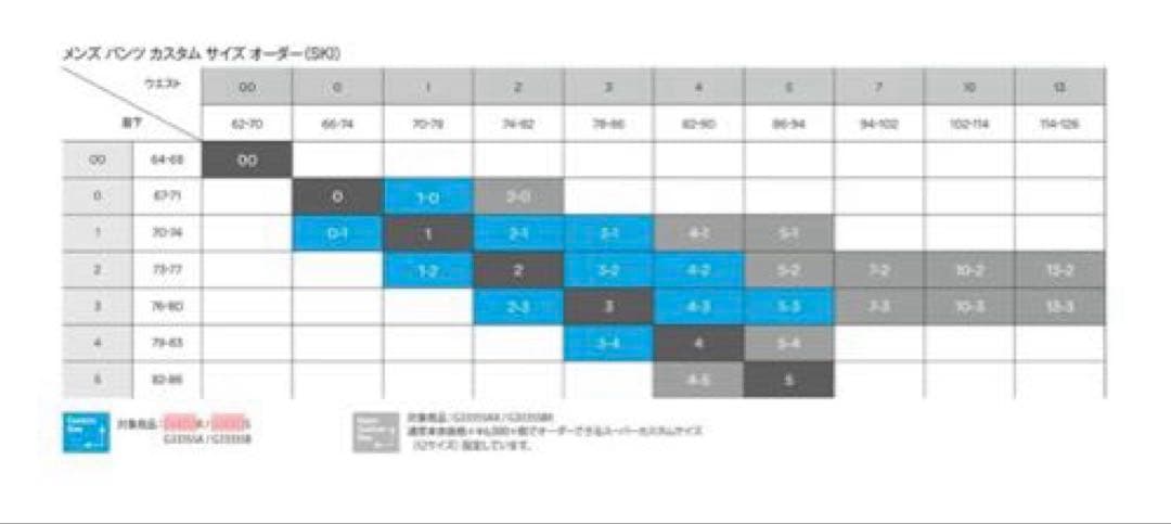 GOLDWIN ゴールドウイン スキーウェア パンツ メンズ 2025 M