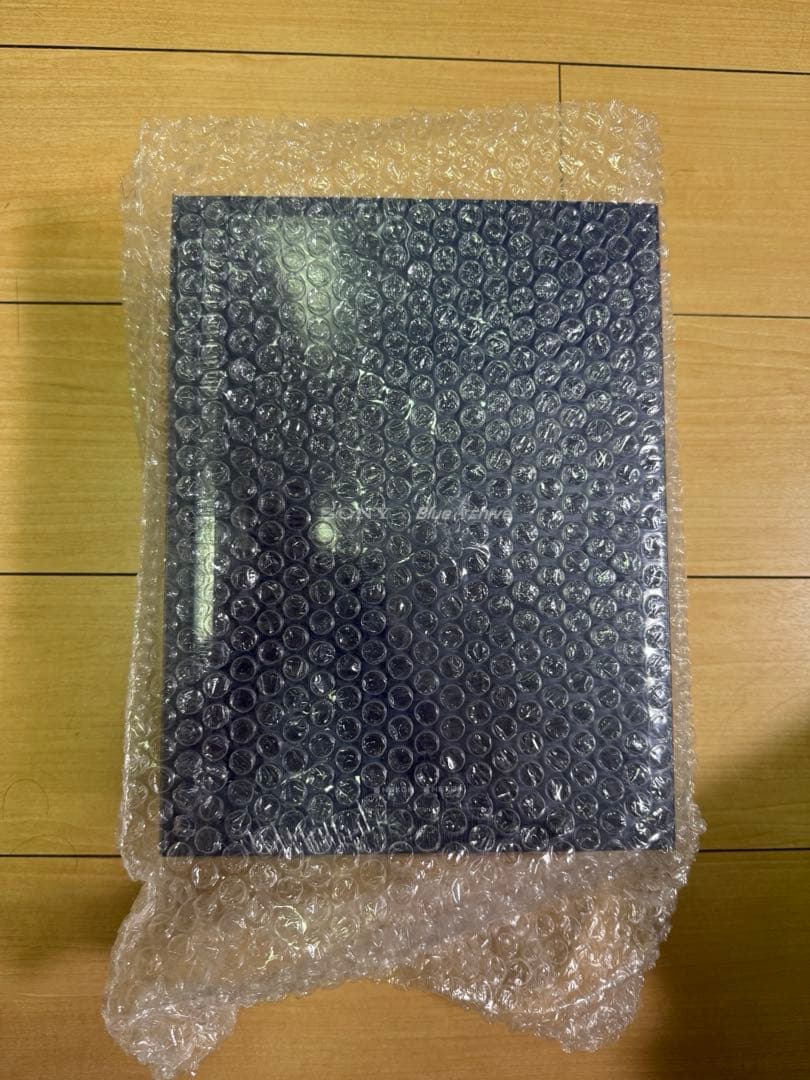 【韓国限定】ブルーアーカイブ SONYコラボ【カズサ】　グッズのみ