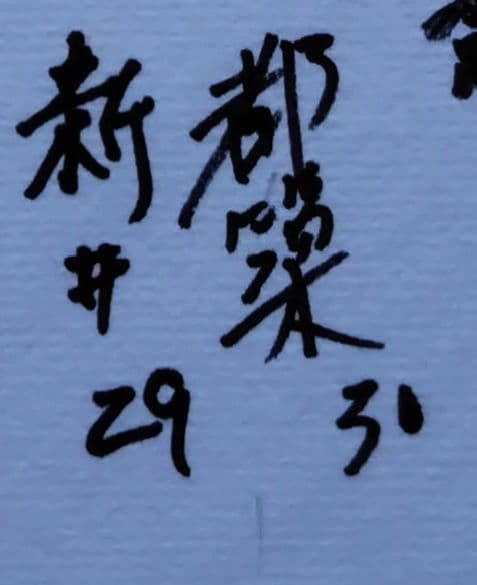 龍神NIPPON 直筆サイン色紙