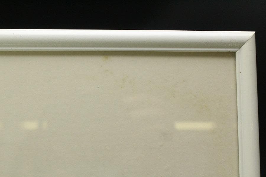 りくのこういち パステル画「カラフルフルーツ(ZE347)