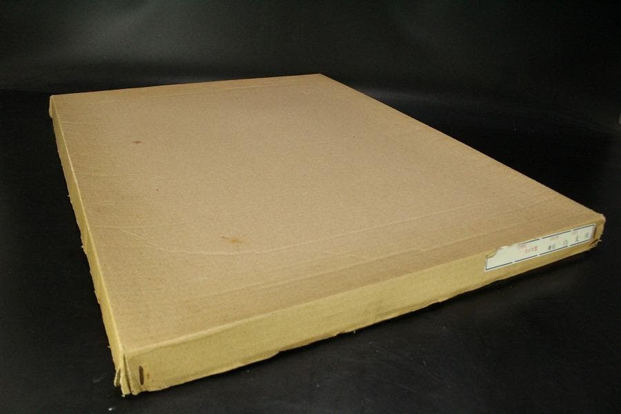 りくのこういち パステル画「カラフルフルーツ(ZE347)