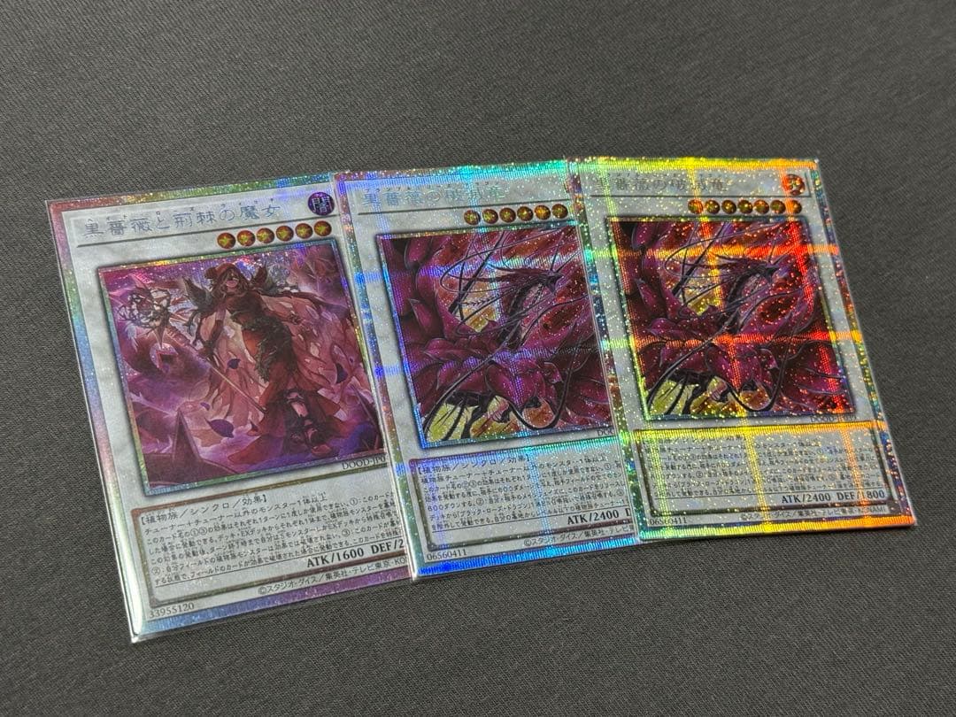 黒薔薇と荊棘の魔女 黒薔薇の破滅竜 2枚