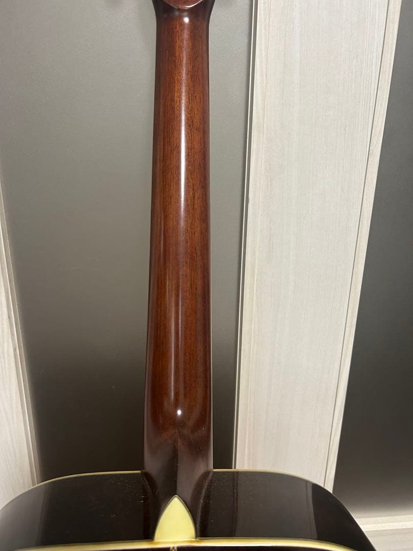 Morris アコースティックギター W-30