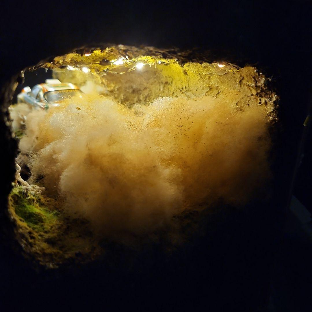 1/24 　ラリー　ジオラマ