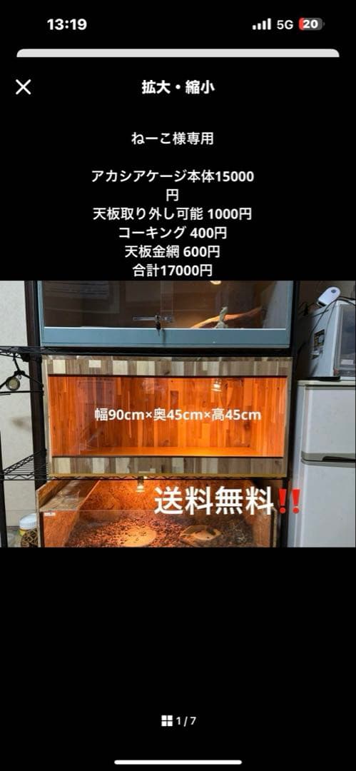 ねーこ　アカシア904545