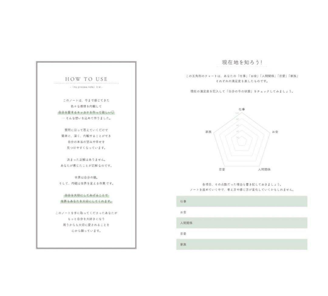 向井ゆきさん 青子さんプロデュースMy process note 内観book