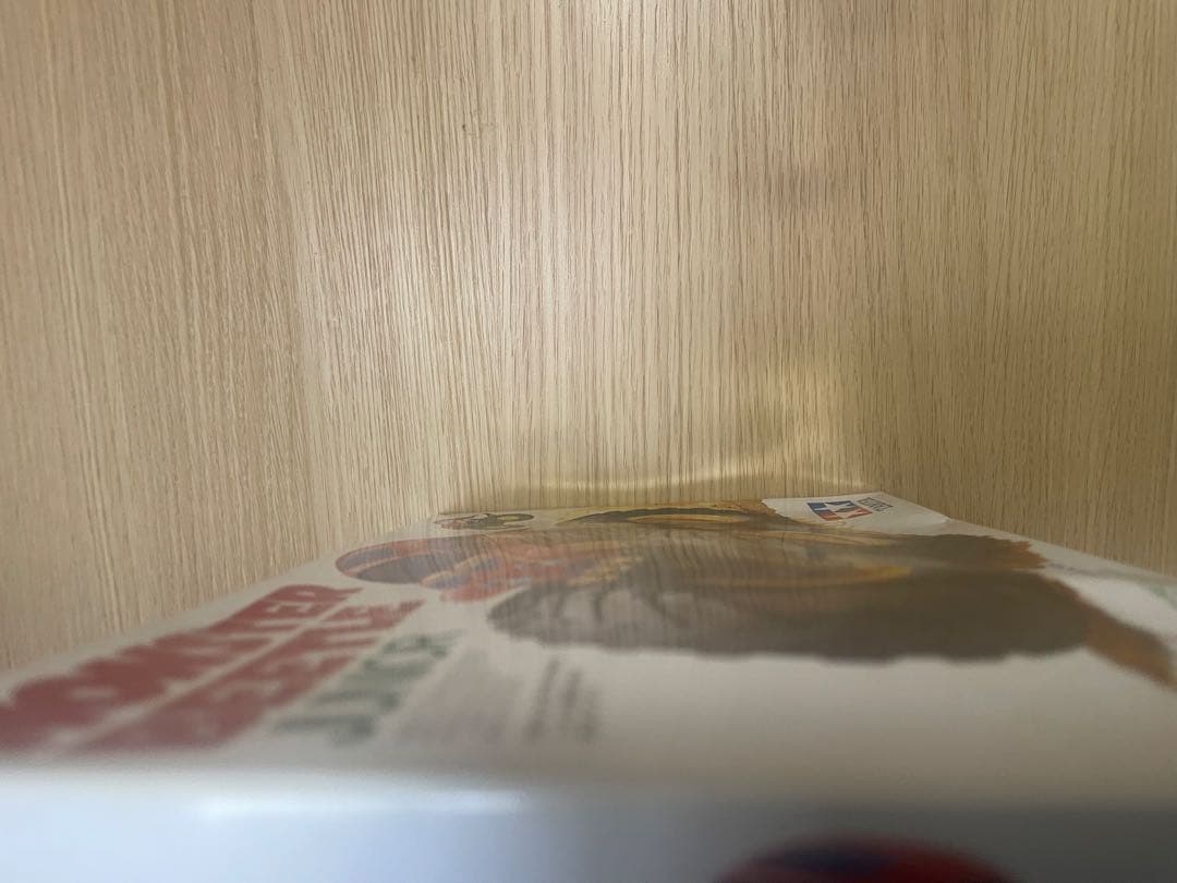 ワイルドミニ四駆　モンスタービートルJr 17001