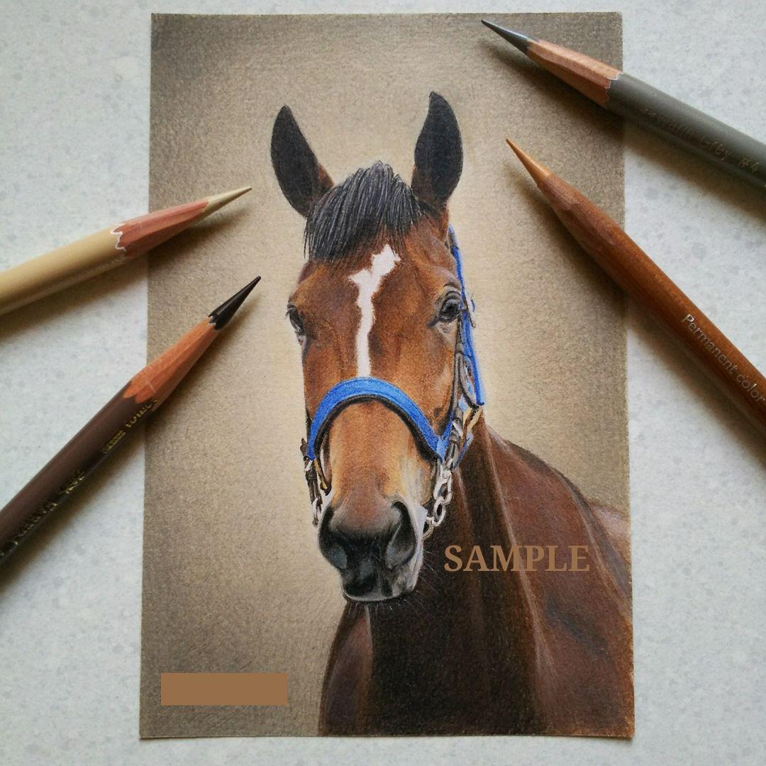 色鉛筆画 原画 メイケイエール 手描き イラスト No.50 馬