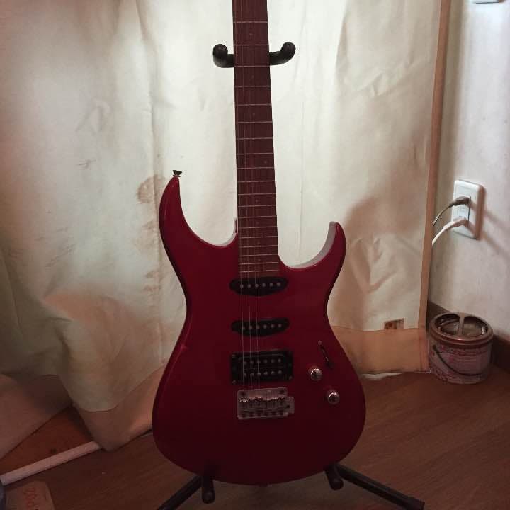 ギター フェルナンデス