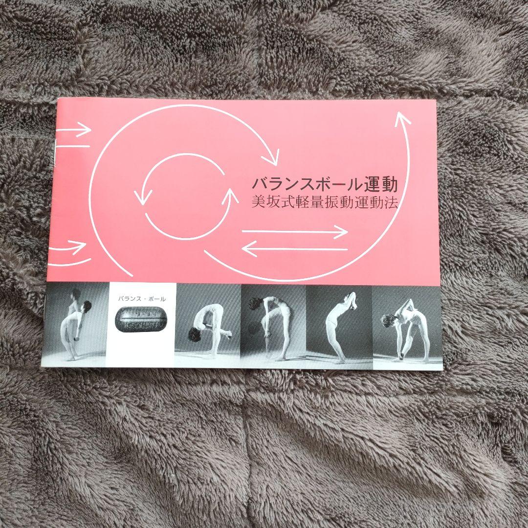 美坂式軽量振動運動法 バランスボール 鉄球 3㎏ ジャパンターナー　取説付き!!