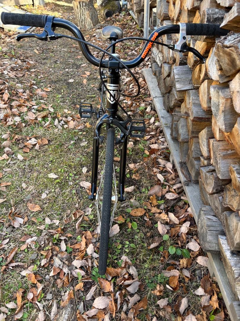 【山梨県引き渡し】マングース title junior 20インチ ブラック