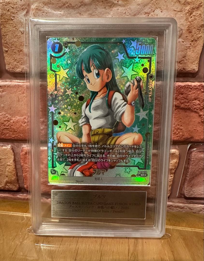 ARS10+ ブルマ FB07-114 鑑定書付き