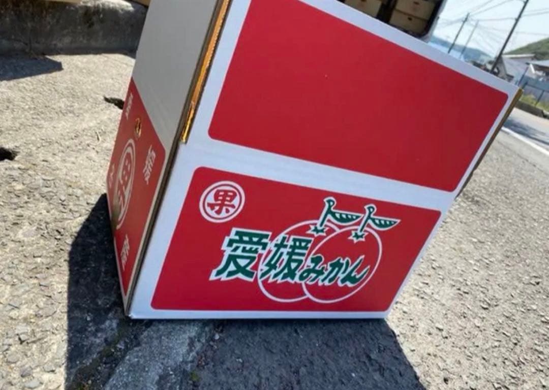 愛媛県産　うまい　早生みかん　みかん　柑橘　15kg