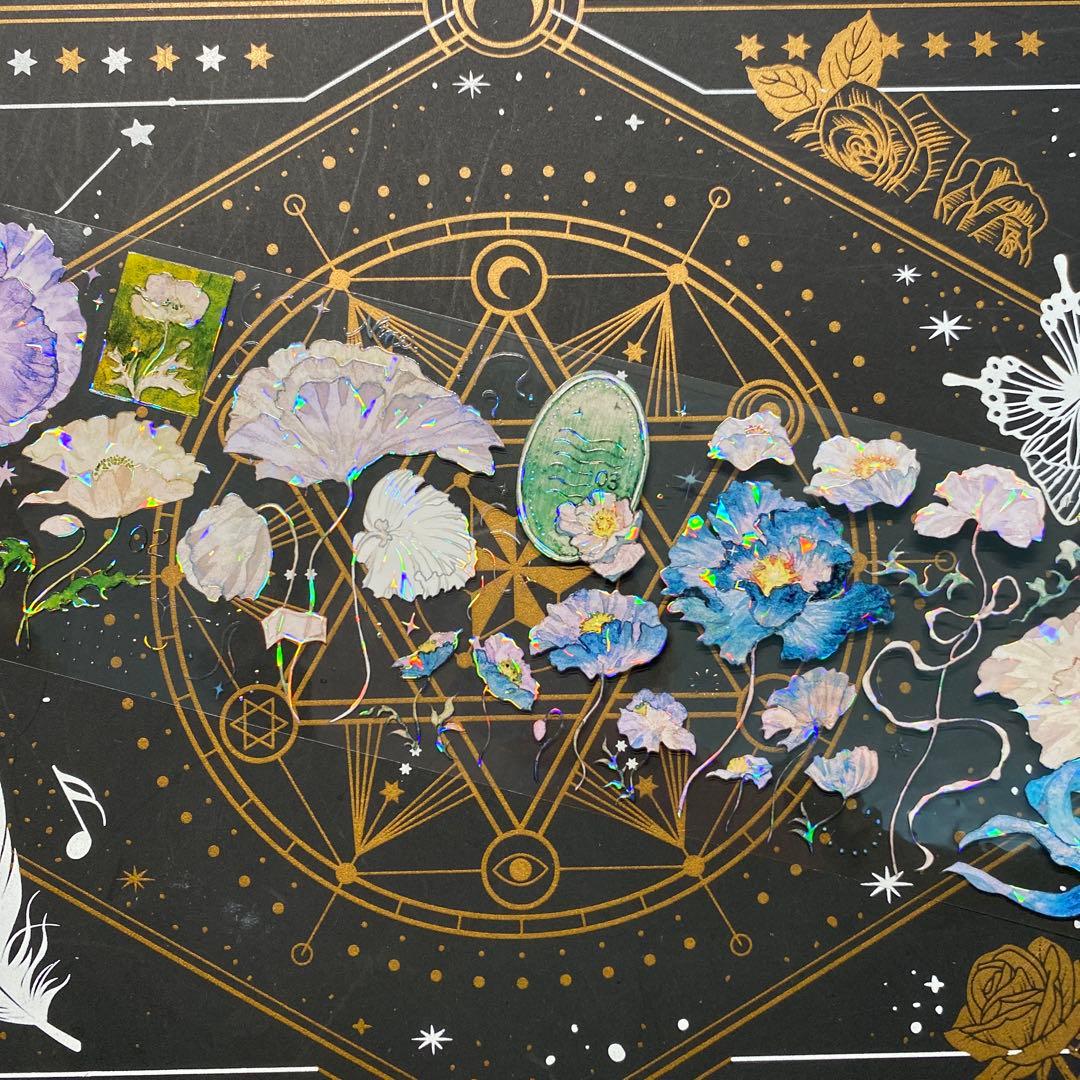 【9223】海外　マステ　中古巻　貝殻光マスキングテープ　お花系　ヒナゲシ