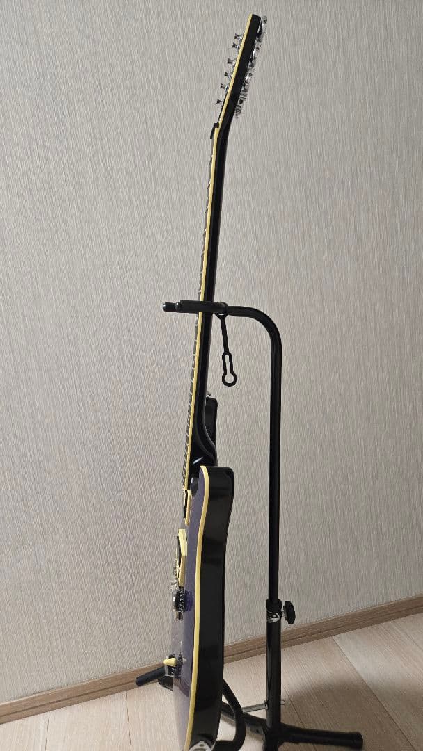 ギター [CAP]PRS SE Custom24 30th Anniversary