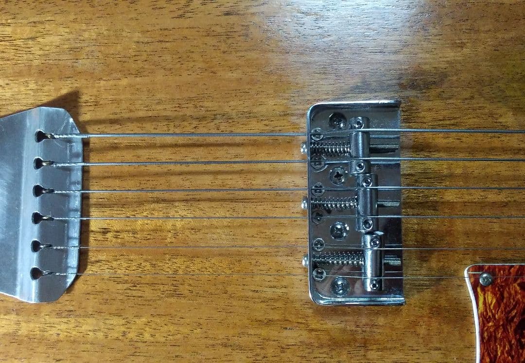 る*様 Stafford ？ セミアコ？シンライン タイプ？