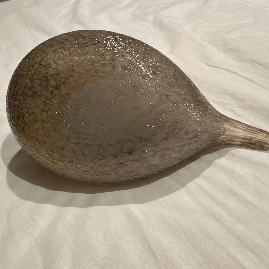 イッタラ オイバトイッカ / Dotterel バード