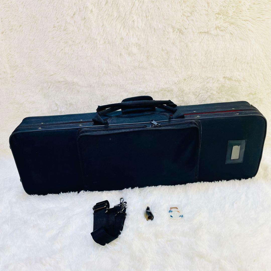 現状品　沖縄三線　蛇皮　ヘビ皮　ケース付き　爪　三味線