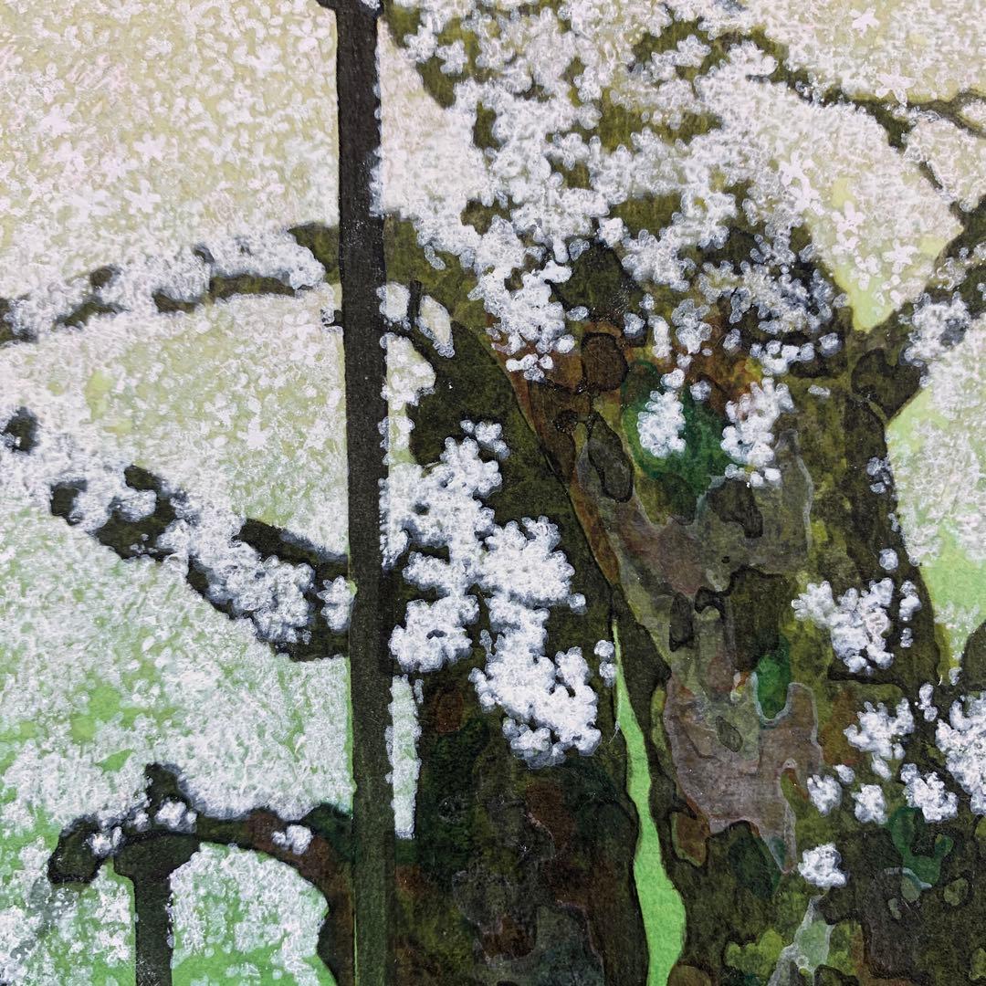 美品 掛け軸 佐野せいじ筆「荘川桜」木版 直筆サイン入り