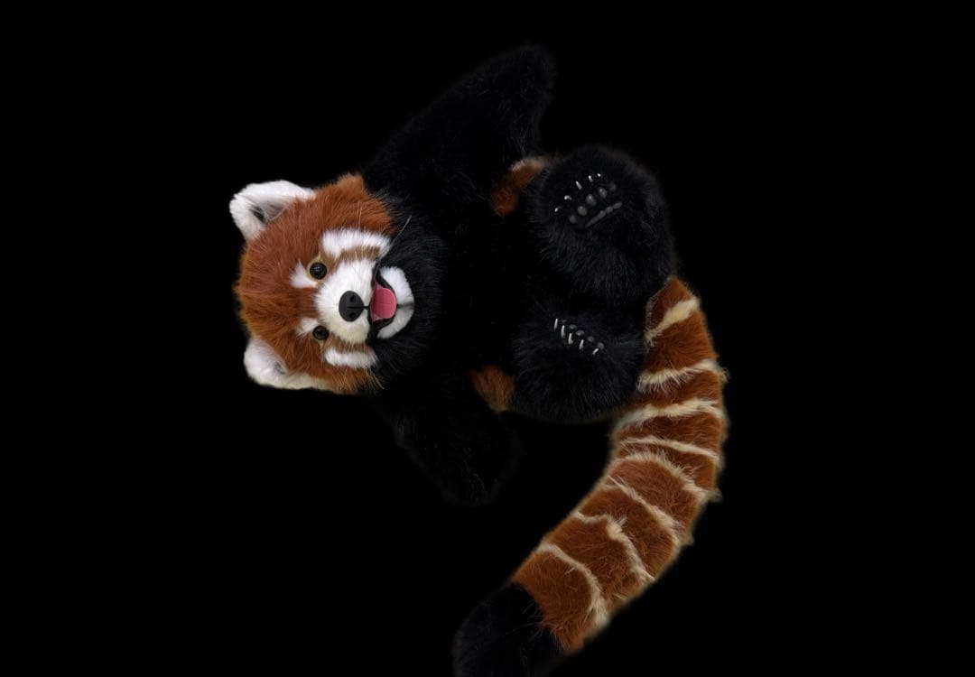 等身大 レッサーパンダ ぬいぐるみ 超リアル 重量感あり