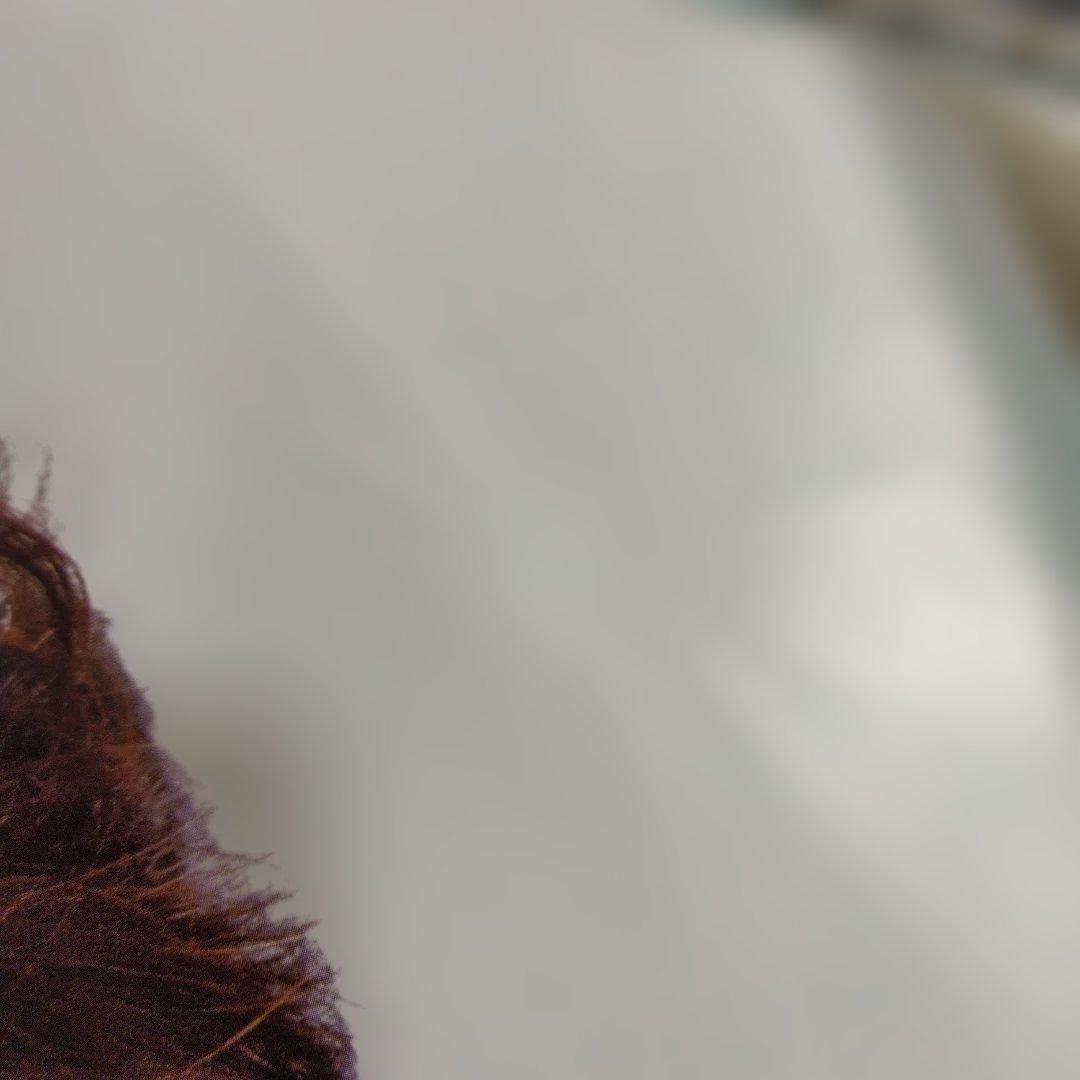 岡田有希子 FAIRY A1ポスター 告知用