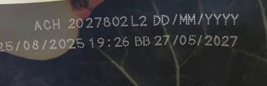 アカナワイルドプレイリードッグ11.4kg送料無料