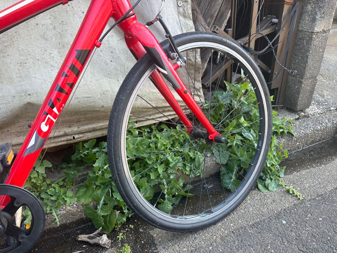 Giant エスケープJR 赤　24インチ