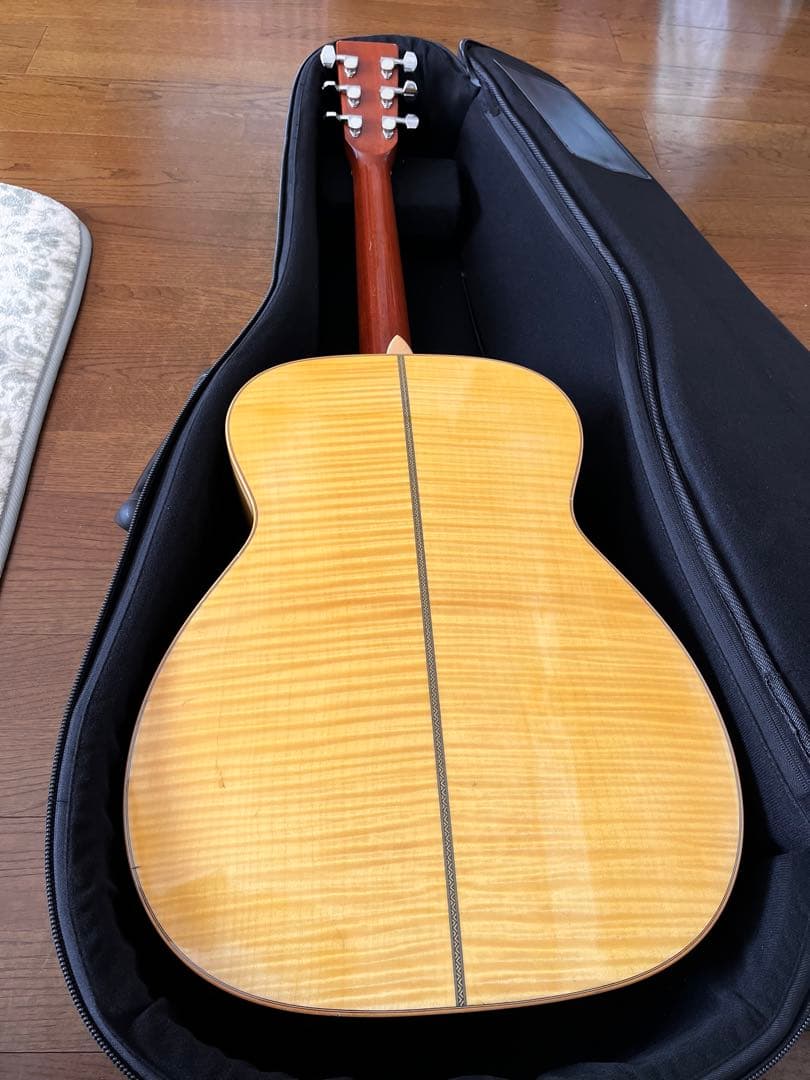 【最終価格】ASTURIAS EC.current maple