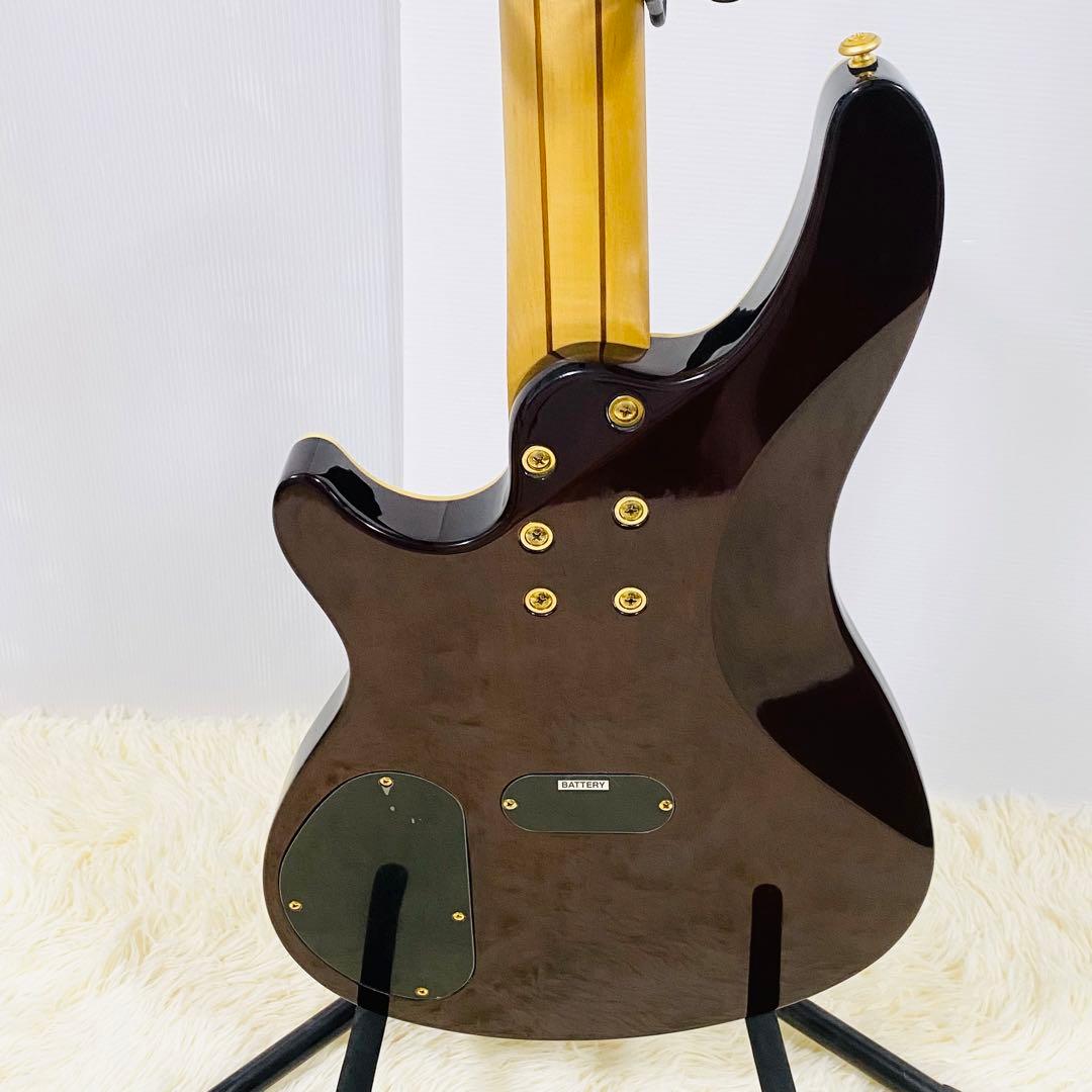 Schecter AD-C-4 シェクター エレキベース 動作確認済み