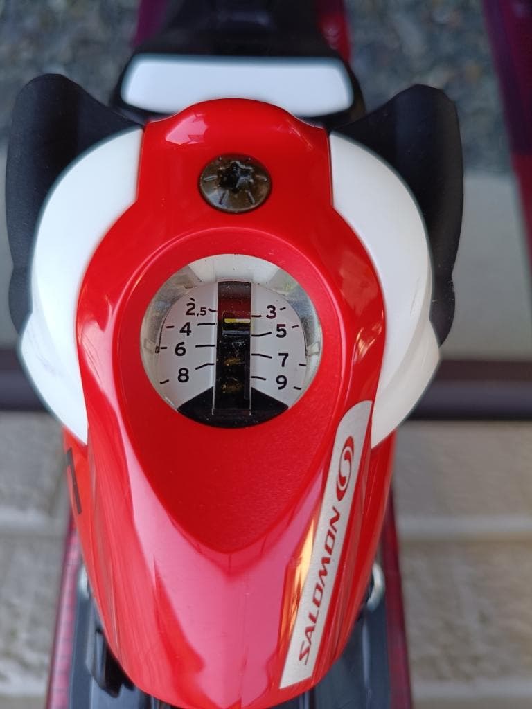 ＳＡＬＯＭＯＮ　ＳＮＯＷＢＬＡＤＥ　希少