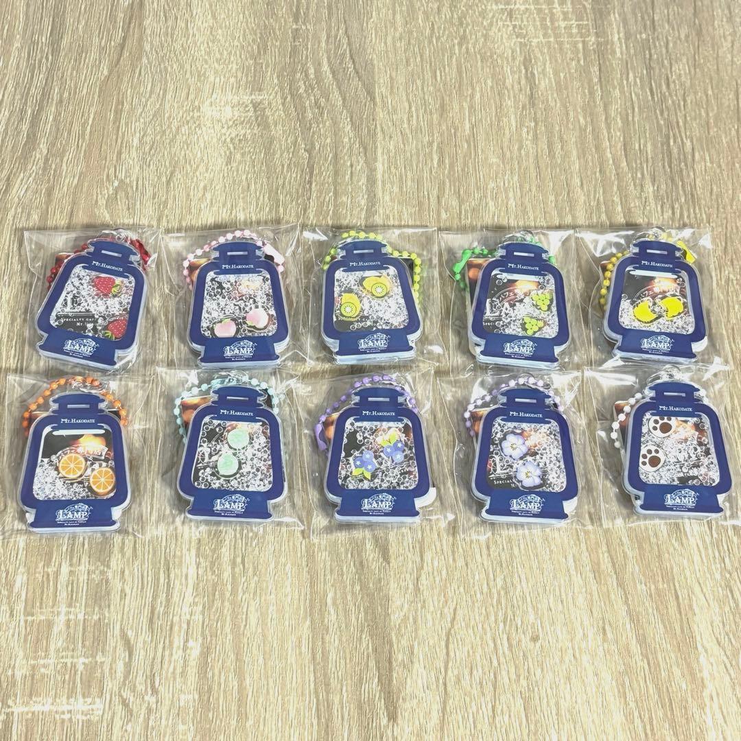 LAMPキーホルダー　箱館山　10種類コンプ　琵琶湖キーホルダー　ZOOM