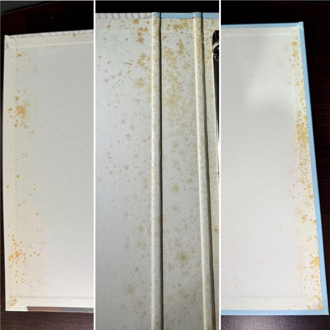 せ*中様 CLAMP トレーディングカード 大量売り