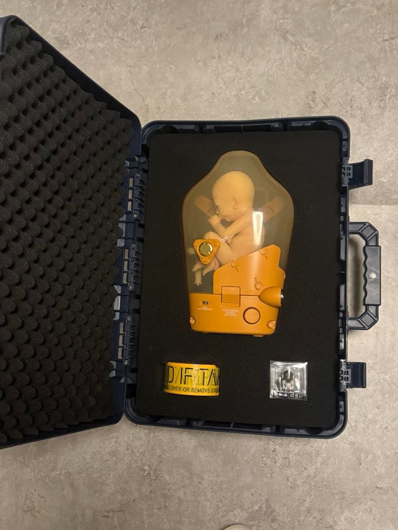 デスストランディング デススト コレクターズエディション BB