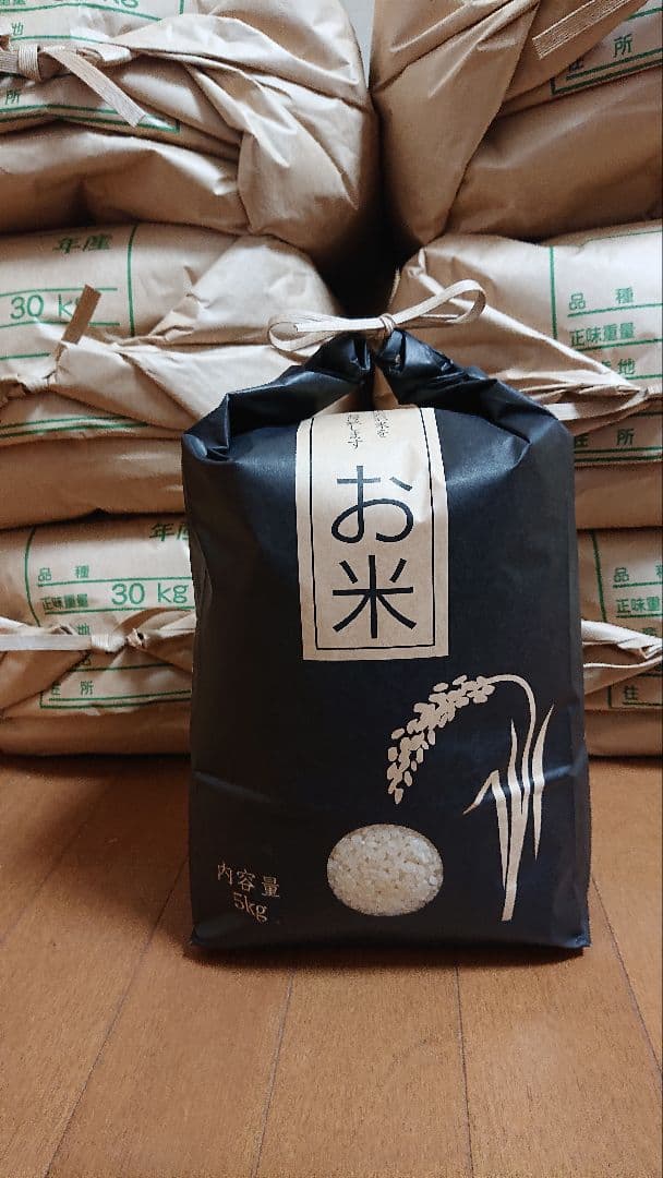 減農薬　コシヒカリ　10kg　令和7年産