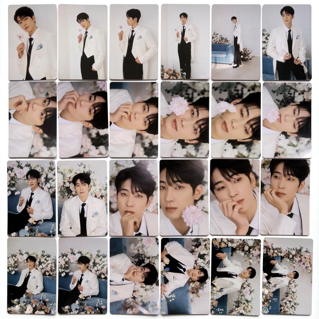 seventeen 缶バッジ　anan ウォヌ　ミンギュ　セブチカフェ　ソウル