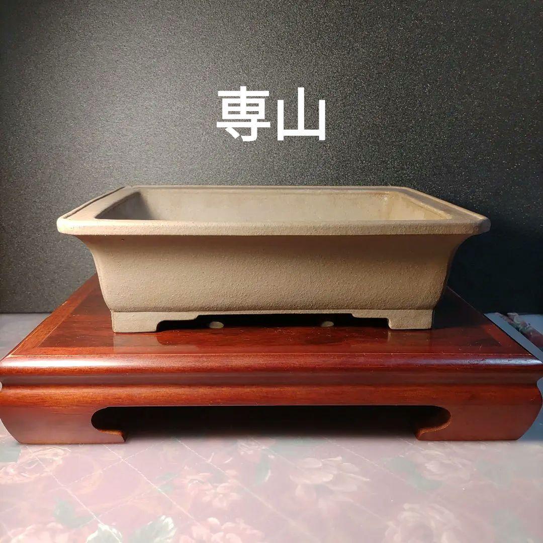 専山　専山造印　盆栽鉢　植木鉢　盆栽