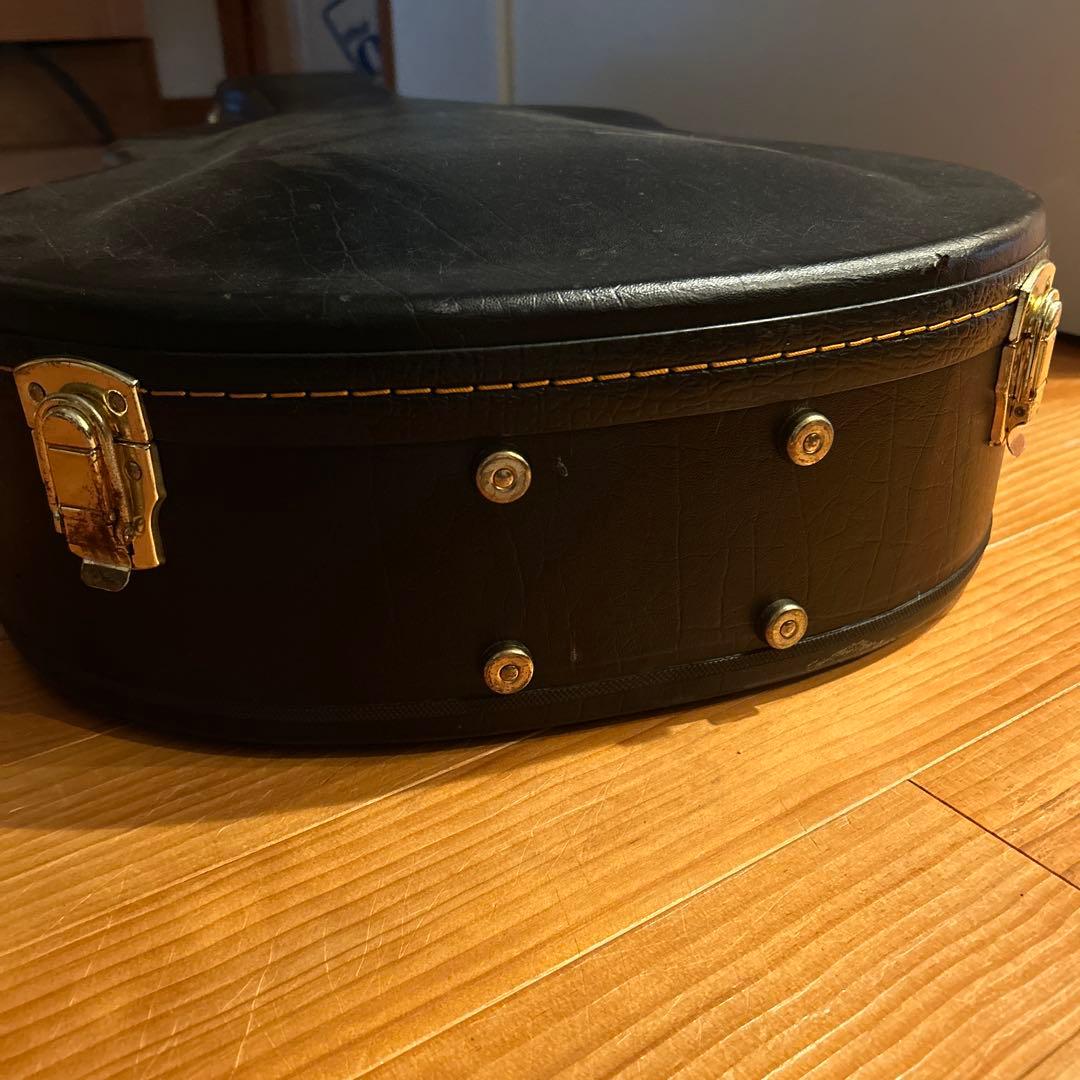 ギター larrivee LV-05