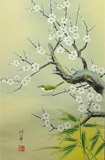 掛軸 八代玲華『白梅図』花鳥図 絹本 肉筆 共箱付 掛け軸 a040916