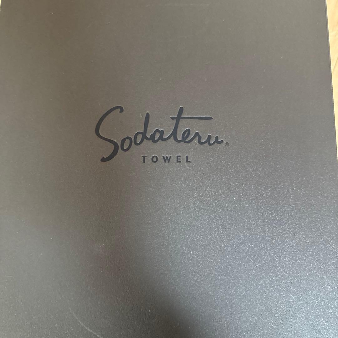 育てるタオル　feel バスタオル　ペアセット　ユナイテッドアローズ限定