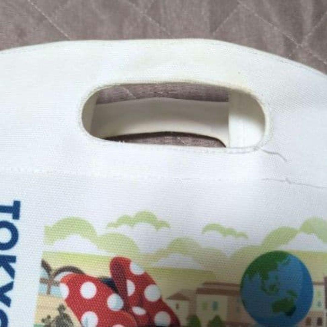 ディズニーリゾート　お土産袋型バッグ　ミッキーマウス　ミニーマウス